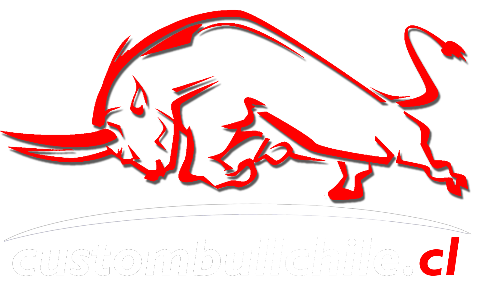 Custom Bull